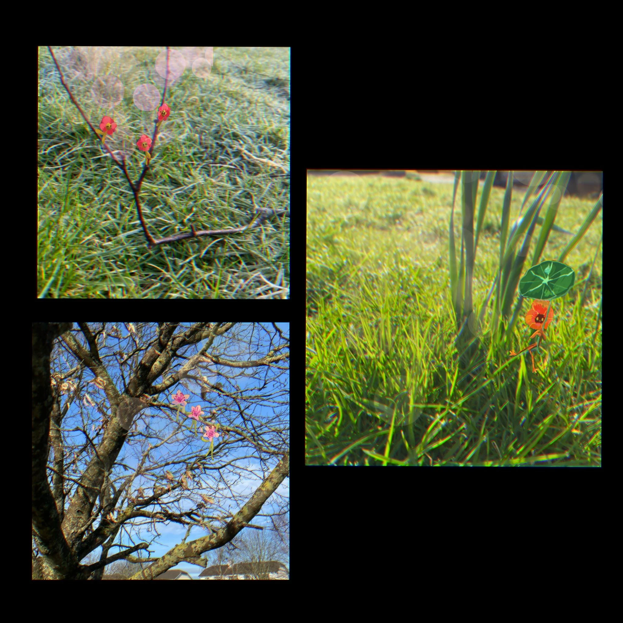 IMG_0516.jpeg