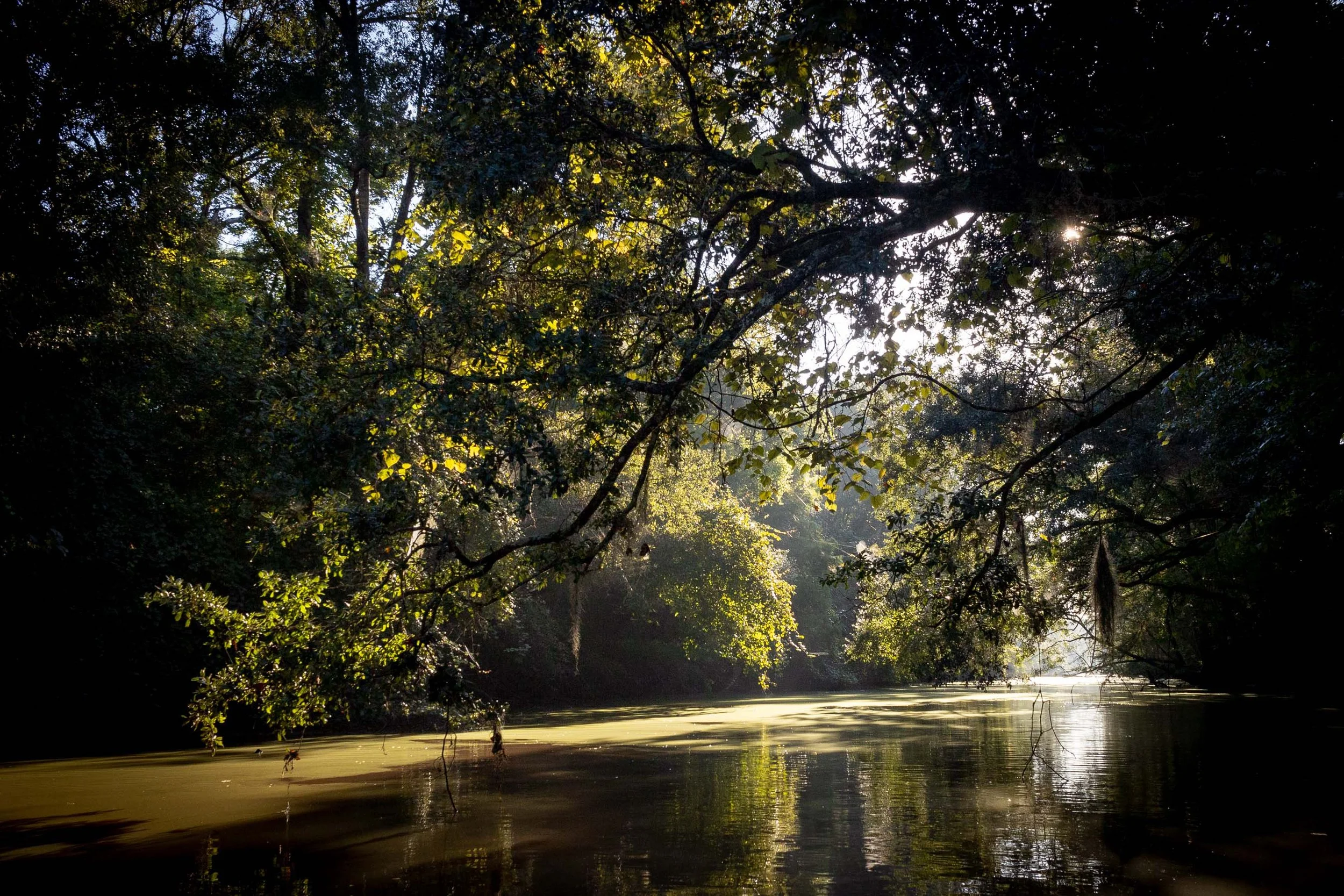 St. Martin Parish Wins Grant for Paddler’s Guide