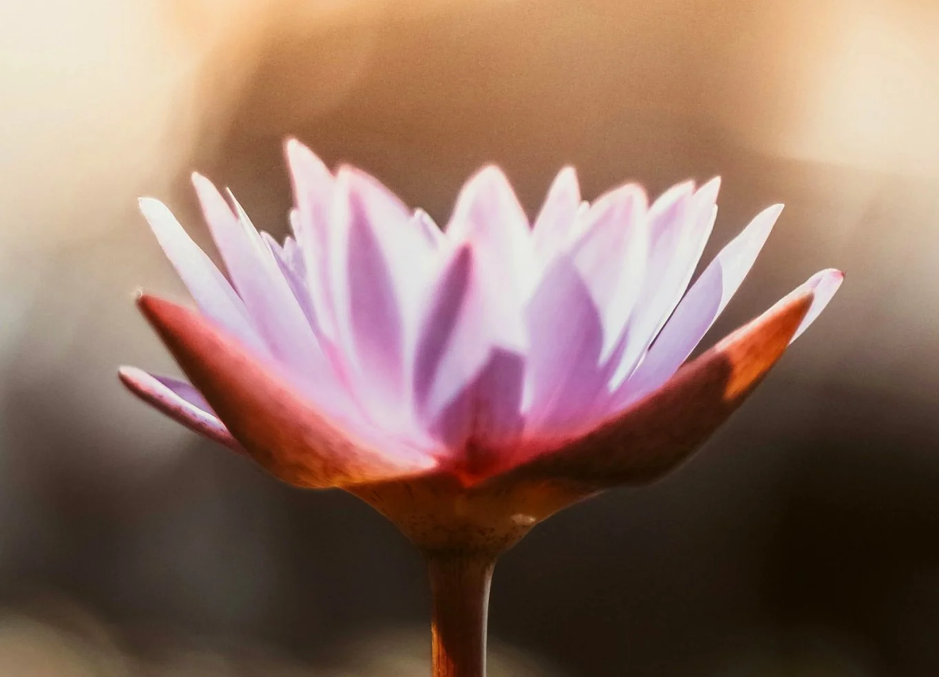 Mindfulness Session at Rixton Community Hall
