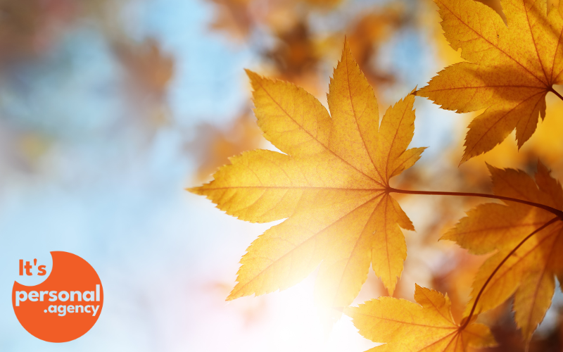 Your End-of-September Checklist for DTC Marketing Teams
