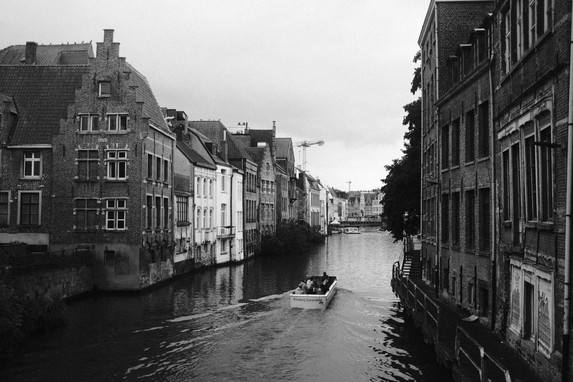 DSCF7361.jpg
