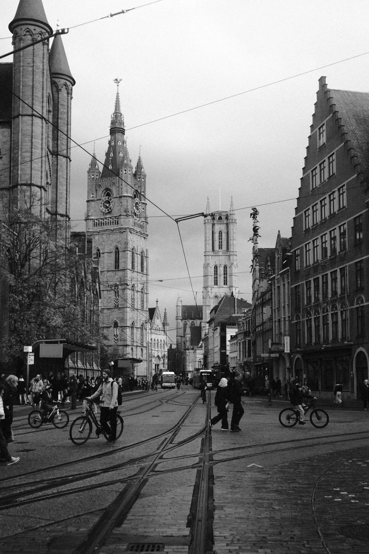 DSCF7373.jpg