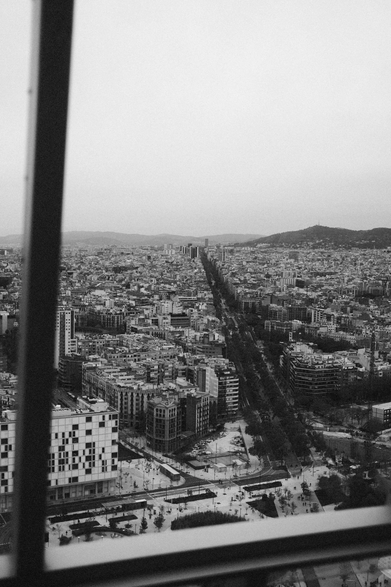DSCF7942.jpg