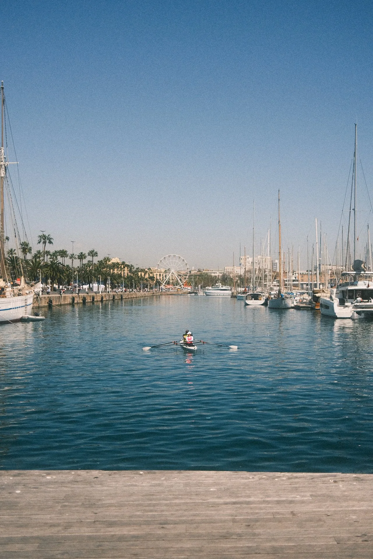 DSCF7801.jpg