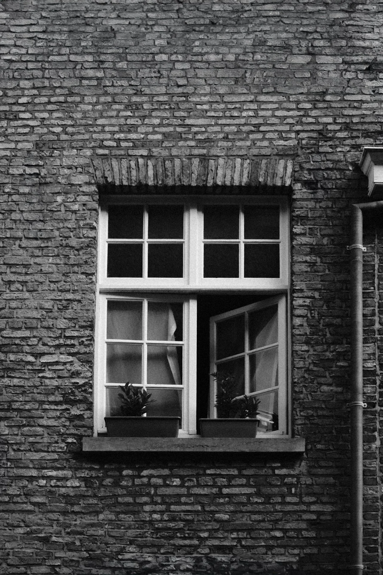 DSCF7697-Edit.jpg