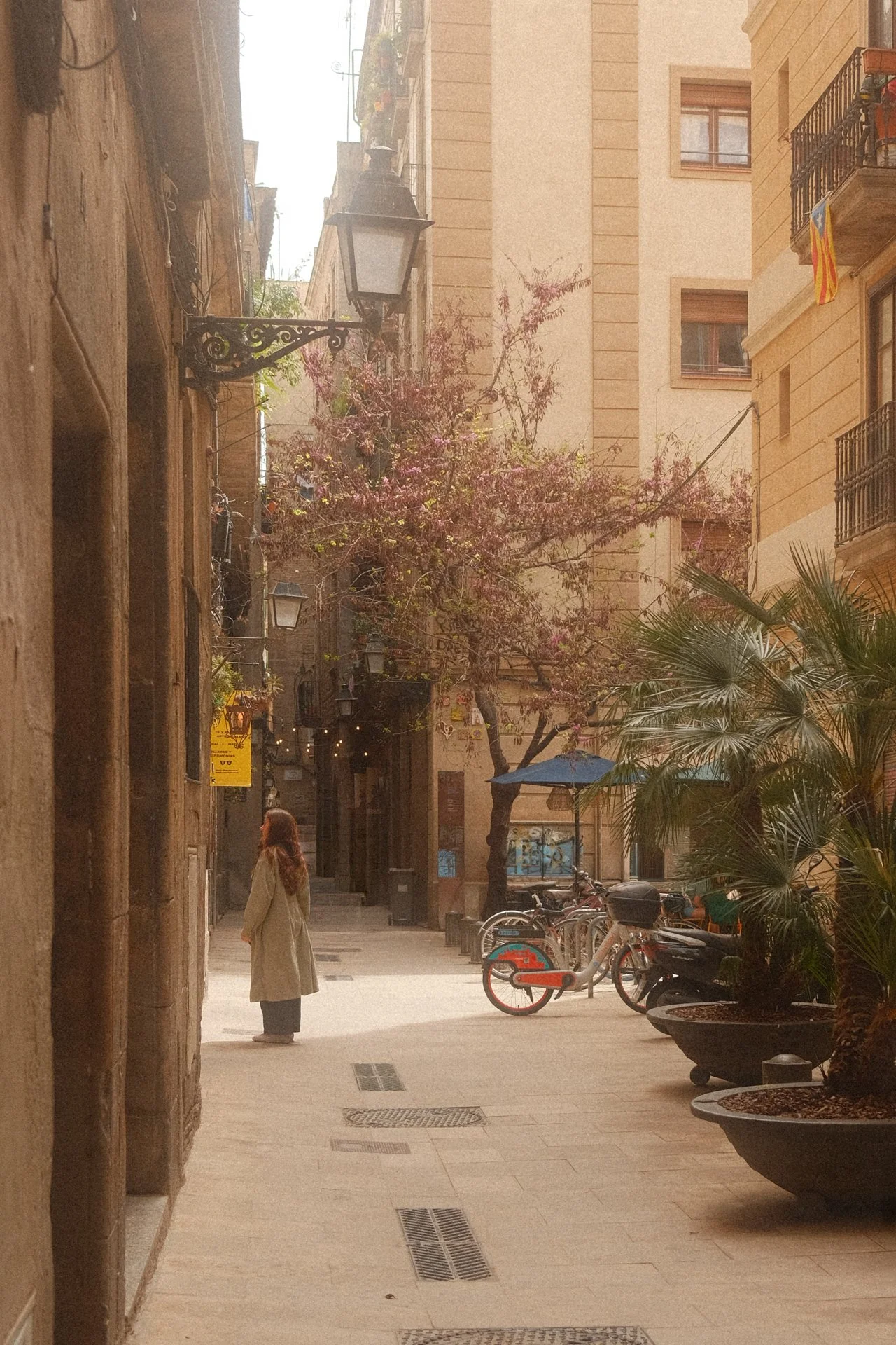 DSCF7919-Edit.jpg