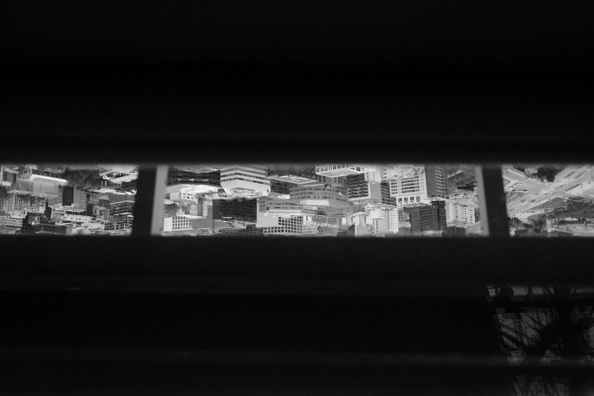 DSCF7955.jpg