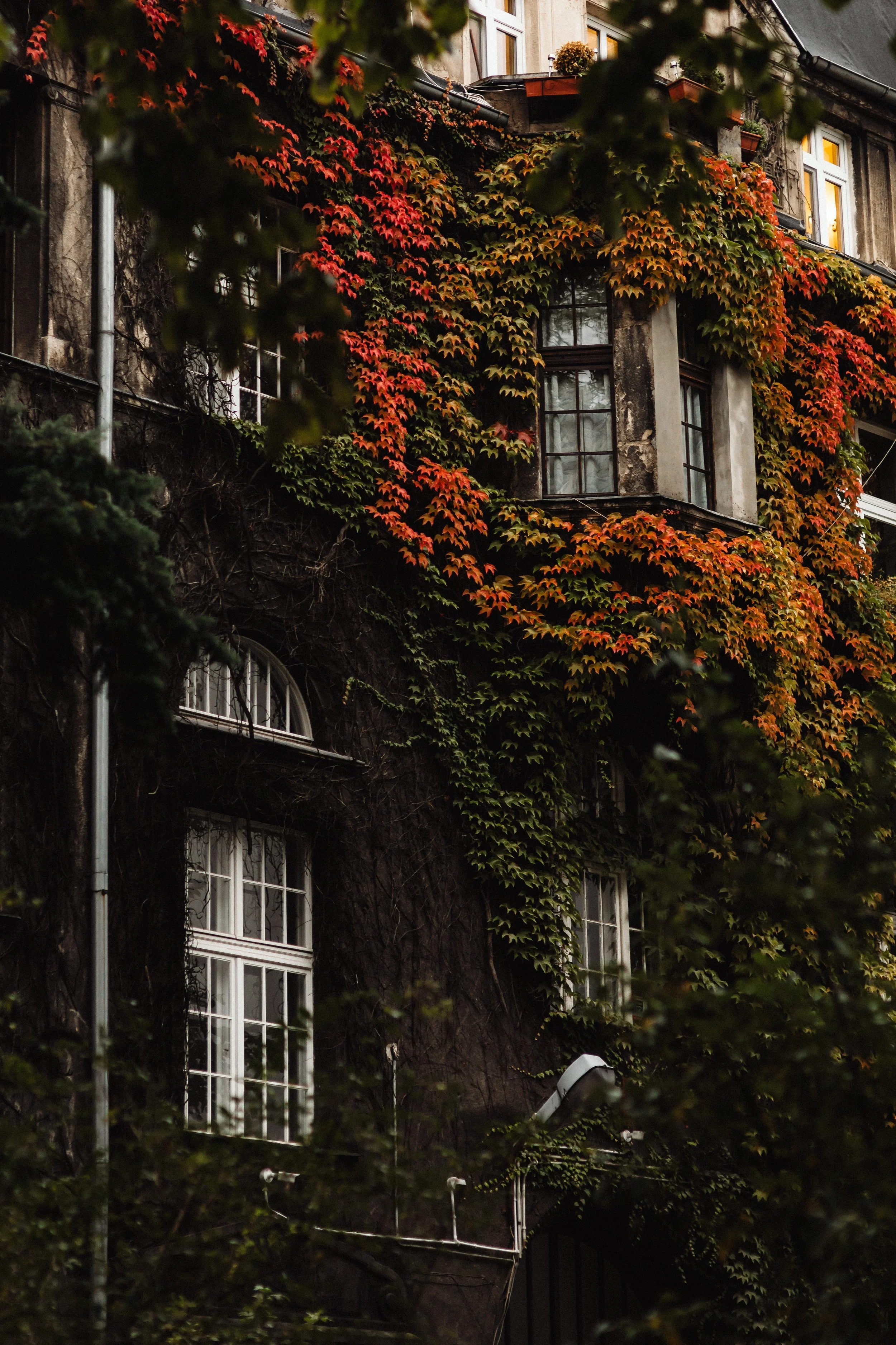 Why Careers Need an Editorial House