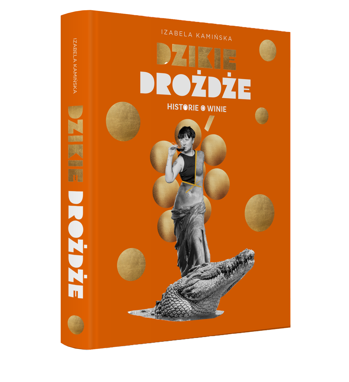 cover-drozdze-3d copy.png