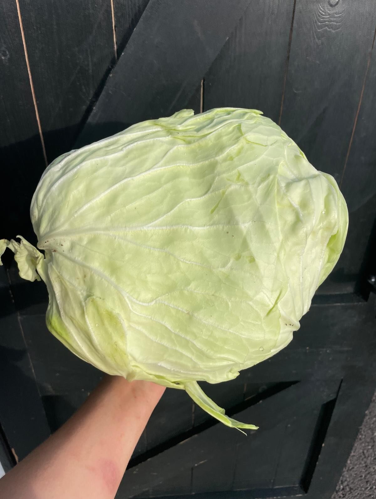 We&rsquo;re slowly emerging from our festive slumber, and have a barrel-load of ferments on to celebrate the new year &mdash; a good portion of them for an exciting destination! More on that soon.

Our bakery section is still in dormancy, but we&rsqu