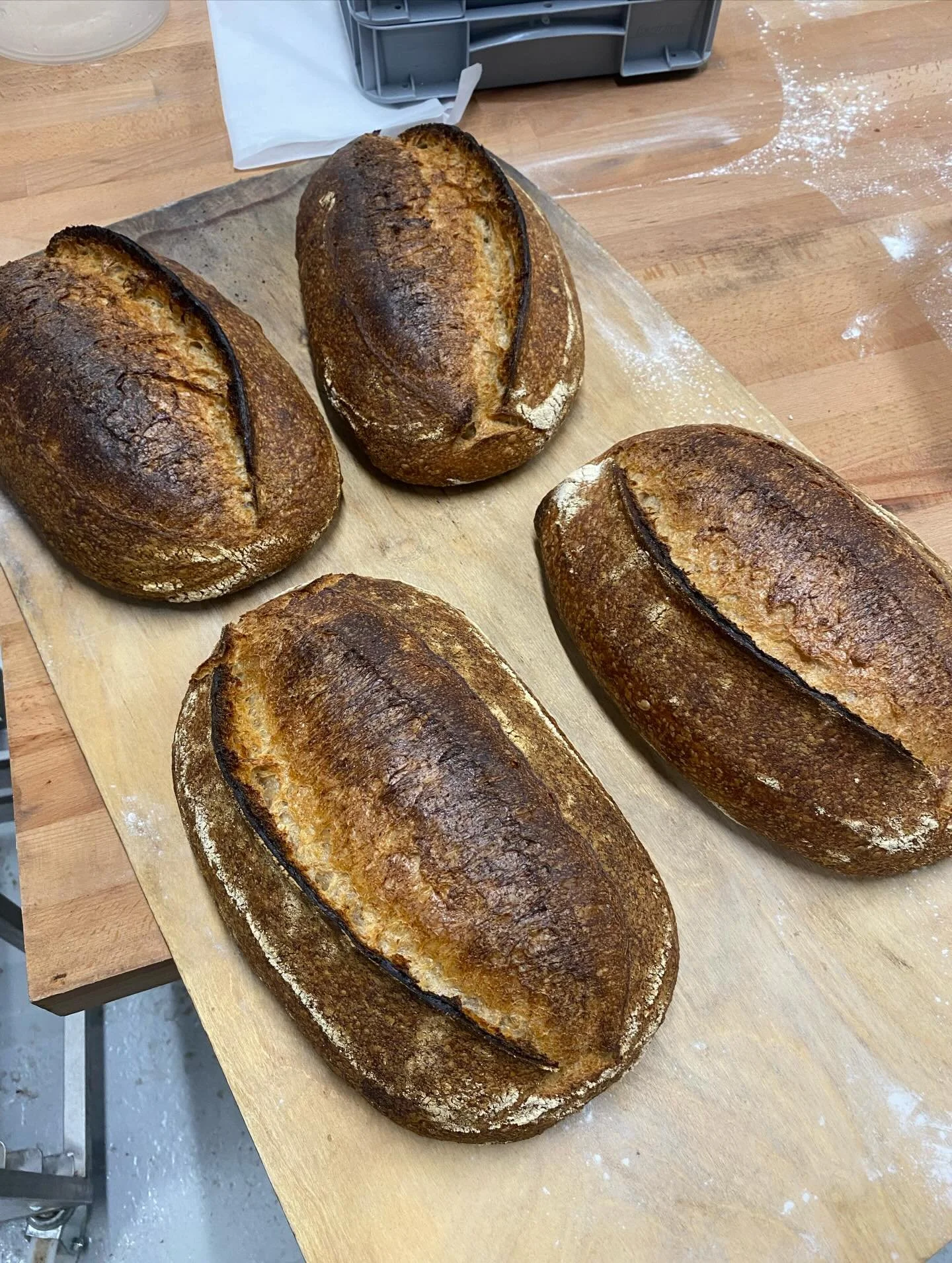 Did you know, we have an online shop? Well we do! We have a selection of bread, pastry, aaannnddd ferments and pickles! Lots of different krauts and lots of kimchi! Delicious! Link in bio!!