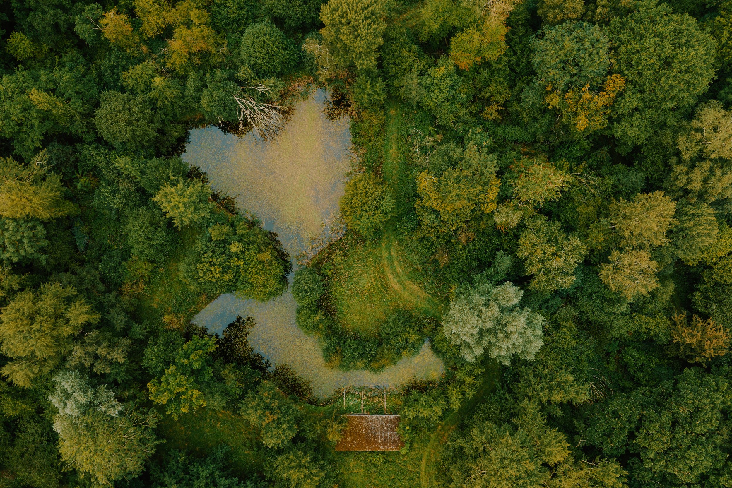 Wendling Beck 4_© Evie Johnstone.jpg