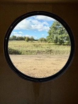 A WILD WEEKEND: 27, 28 & 29TH NOVEMBER