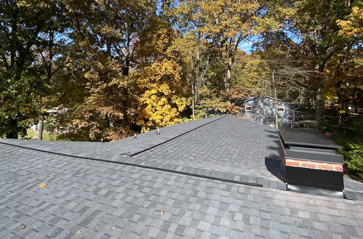 Screen Shot 2022-01-17 at 12.02.33 PM.png