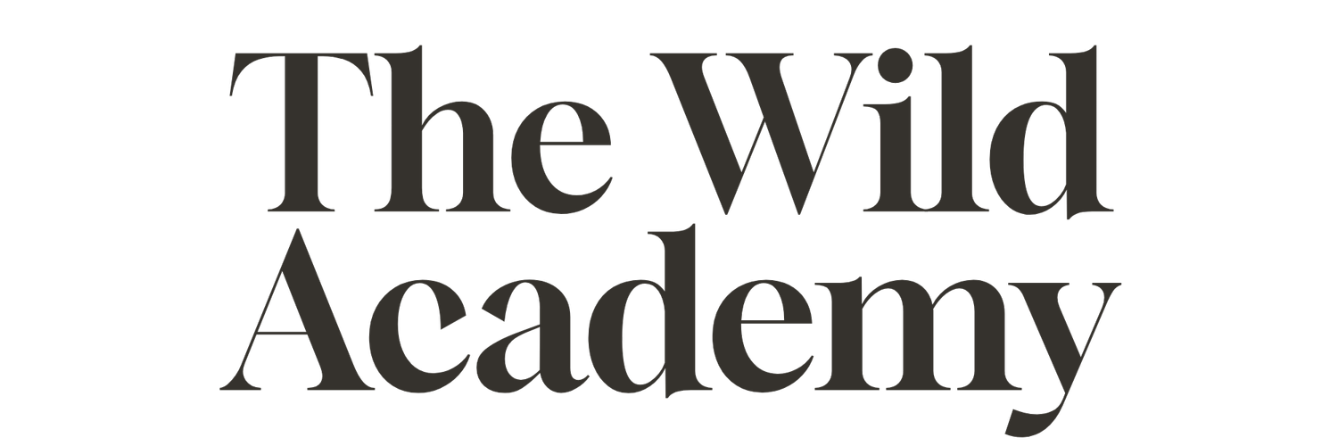 The Wild Academy