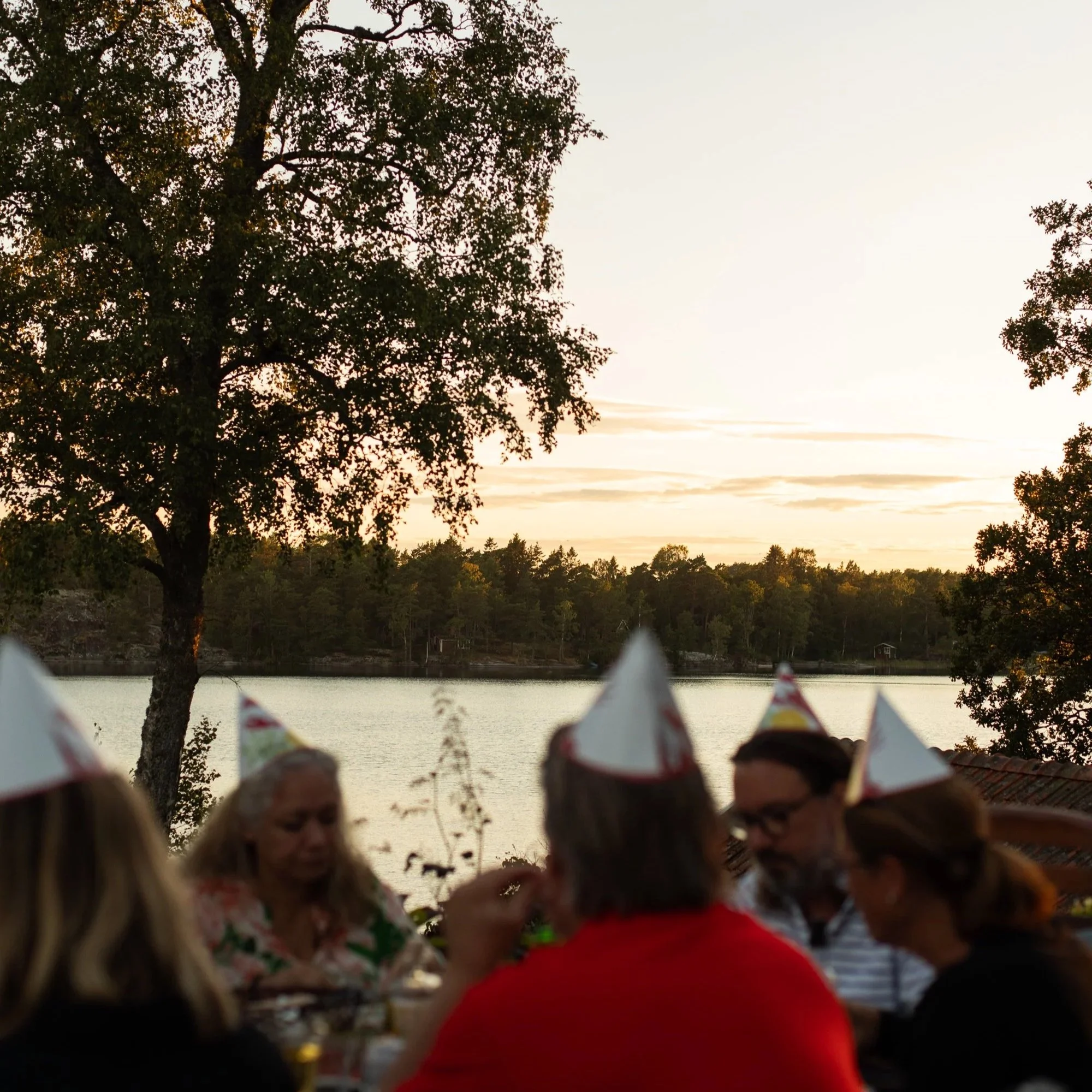 Kräftskiva x Swedish Summer
