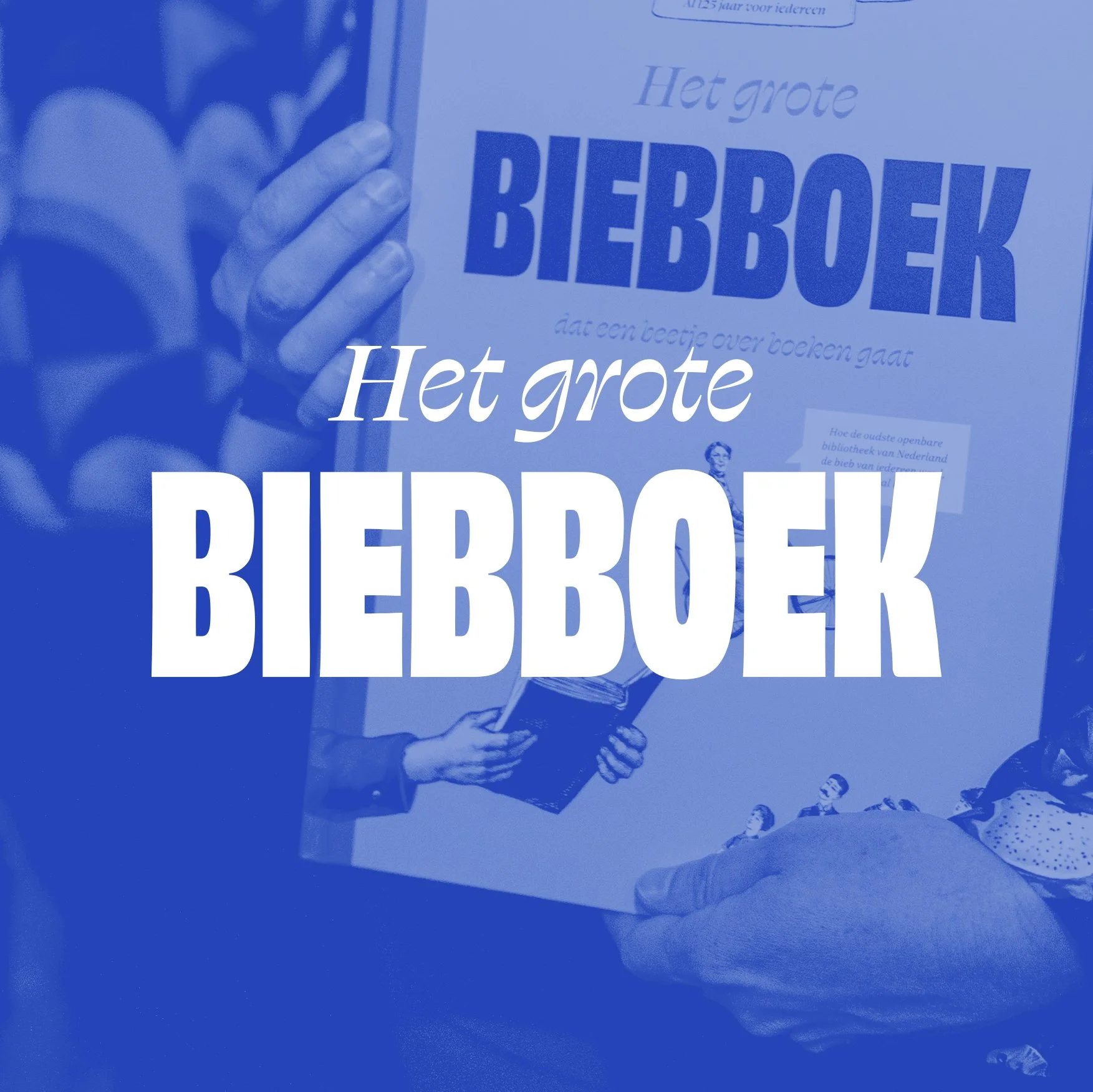 Het Grote Biebboek