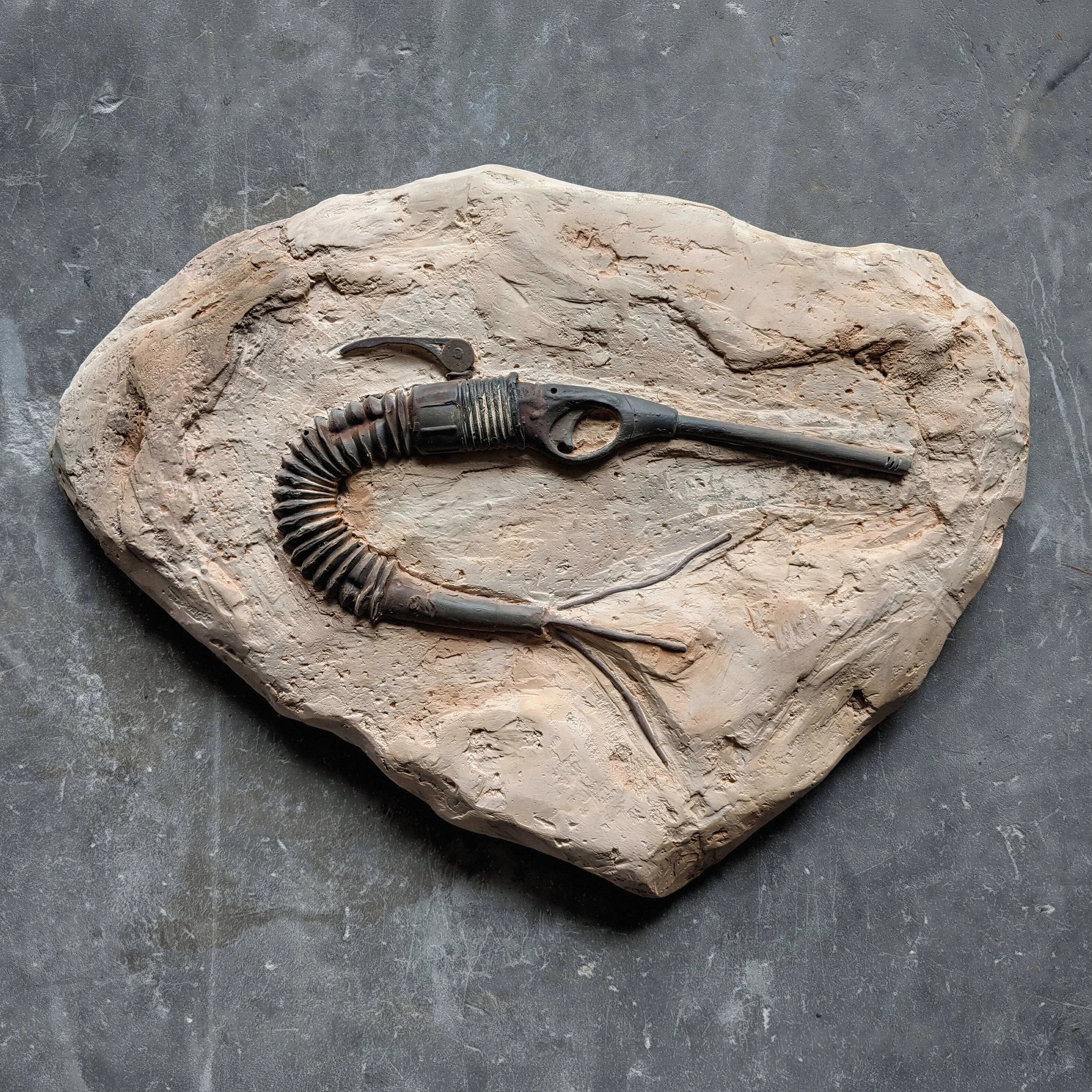 Shrimpis pyromanis — Illustratie: Erwin van der Heijden