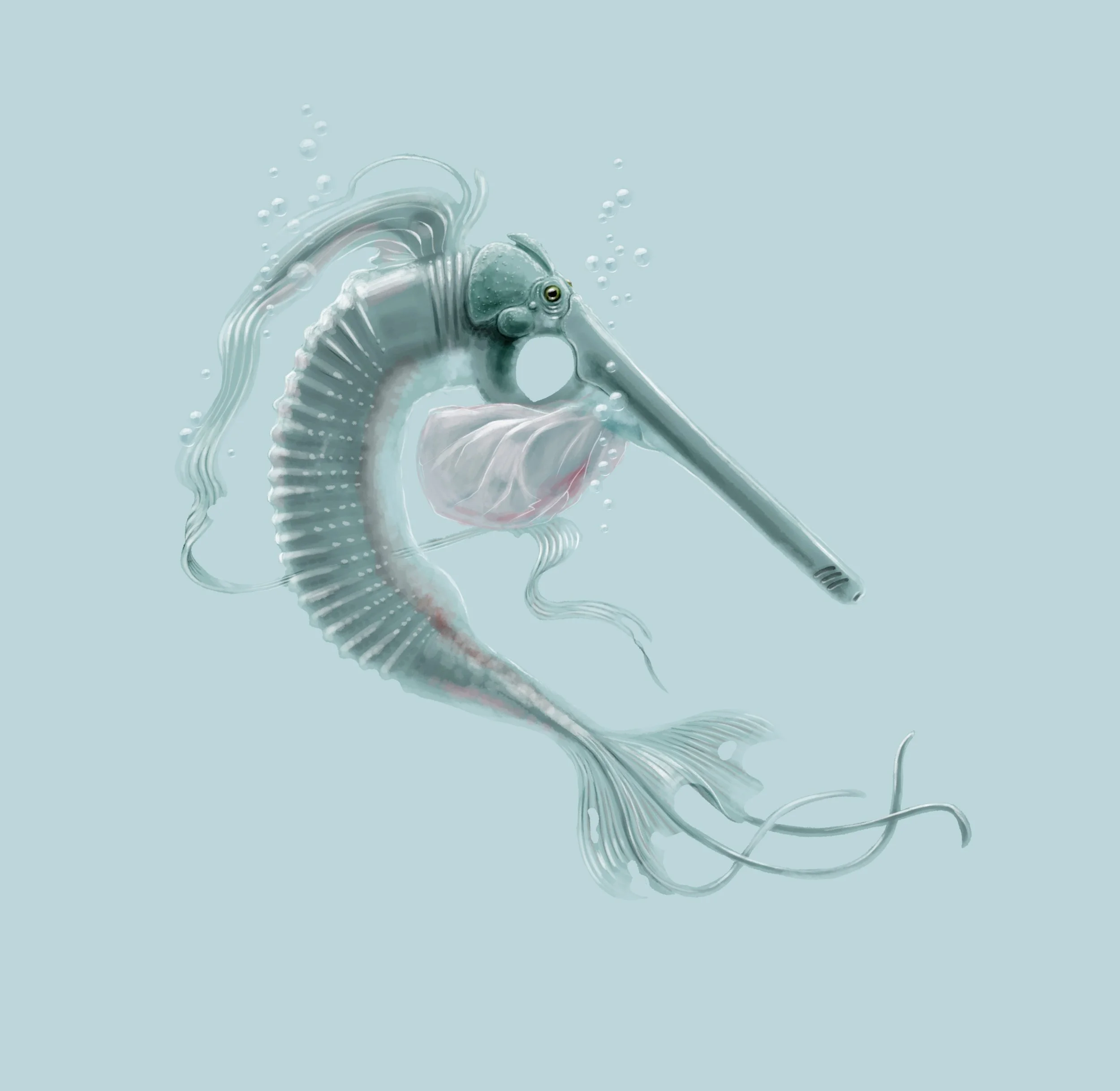SHRIMPIS PYROMANIS.jpeg