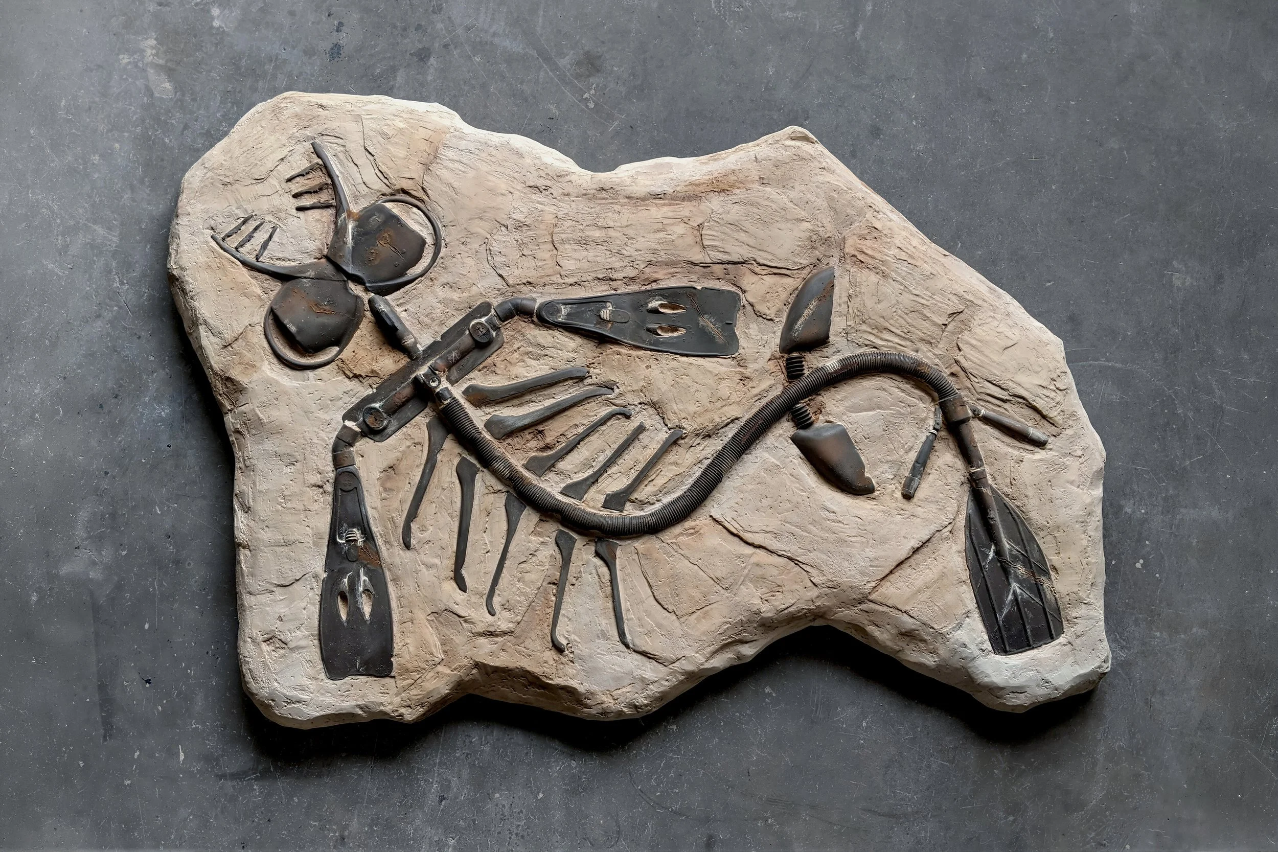 Gitera gruwelis oceanum