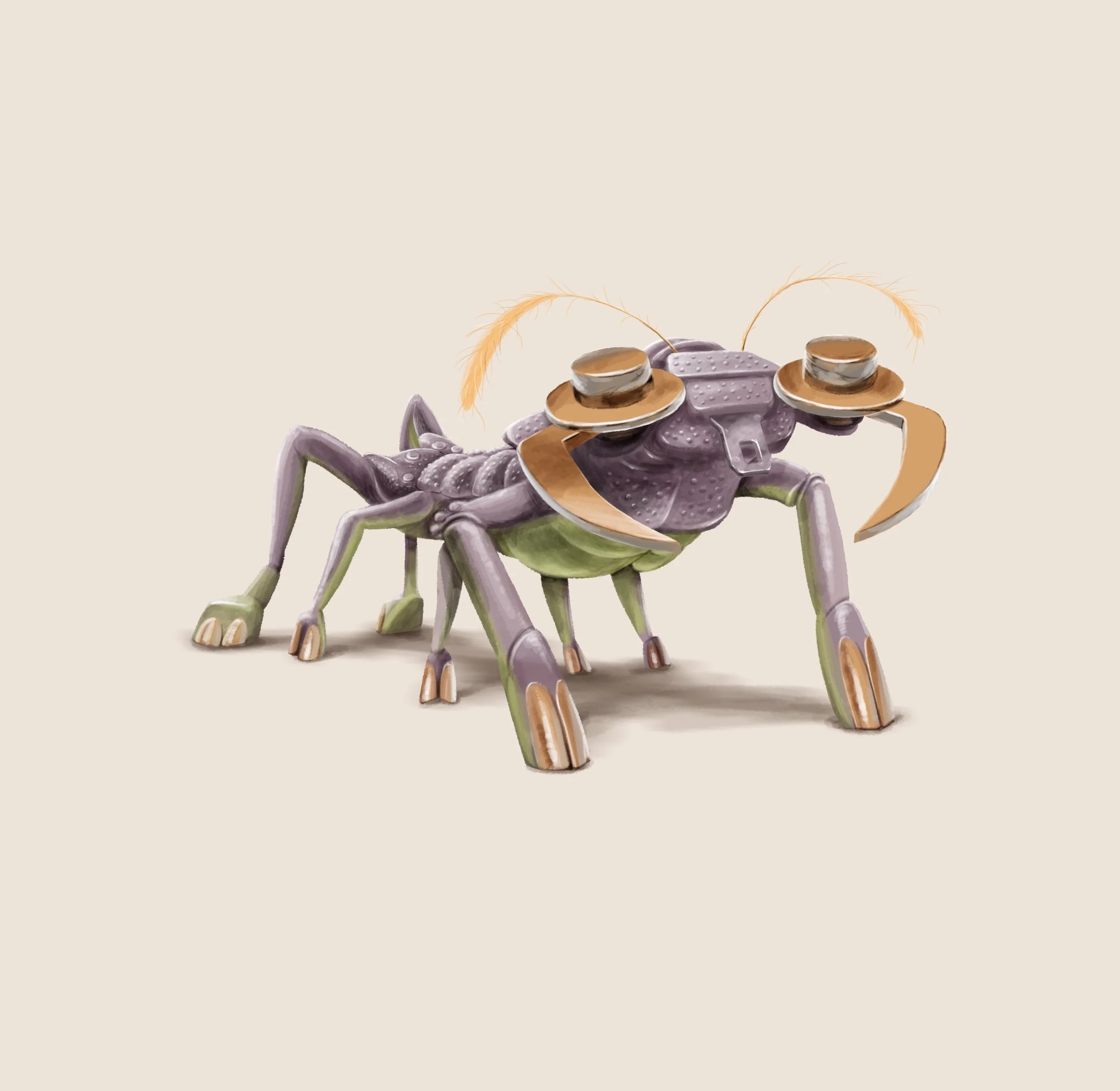 Barbia nimachina — Illustratie: Erwin van der Heijden