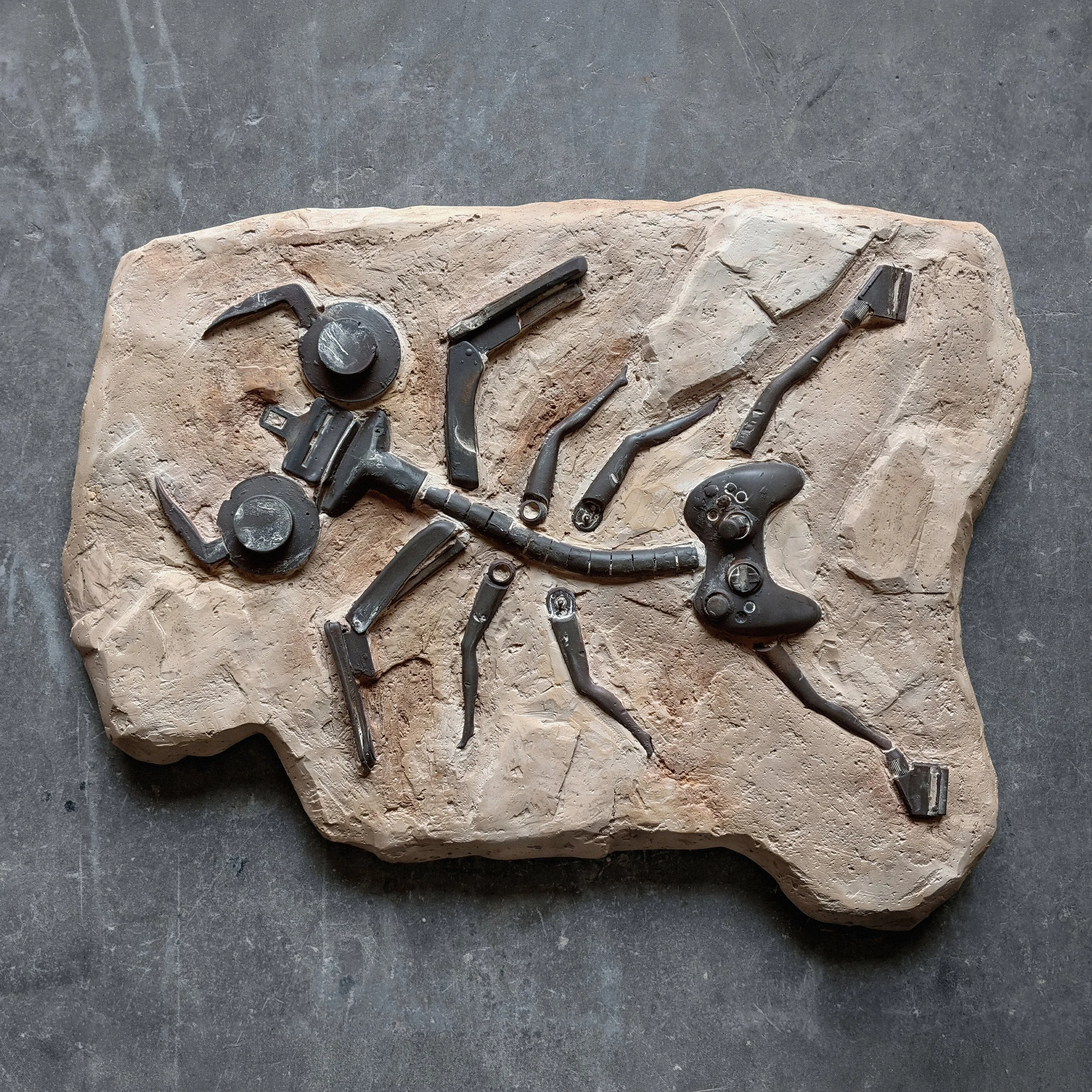 Future Fossils - Barbia nimachina 1-1.jpg