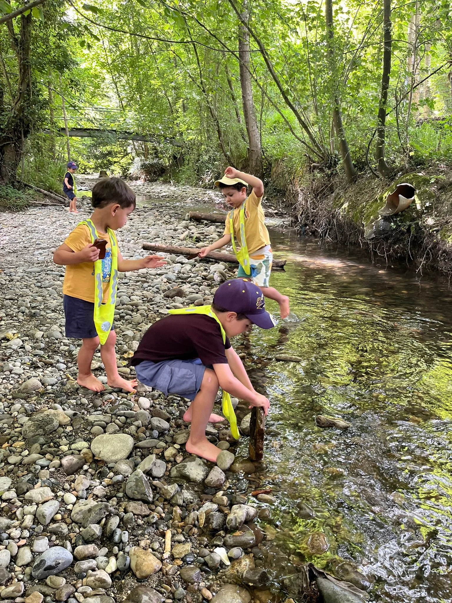 forest school montessori.JPG