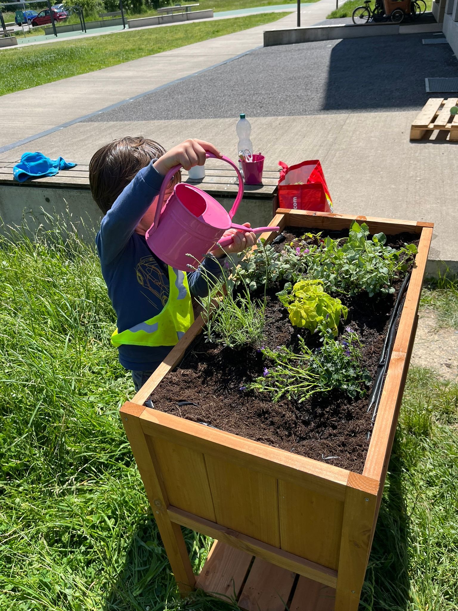 école montessori genève école en forêt.JPG