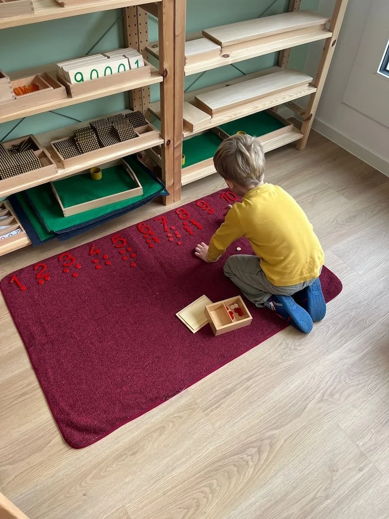Le cycle Montessori 3–6 ans : une progression essentielle en trois ...
