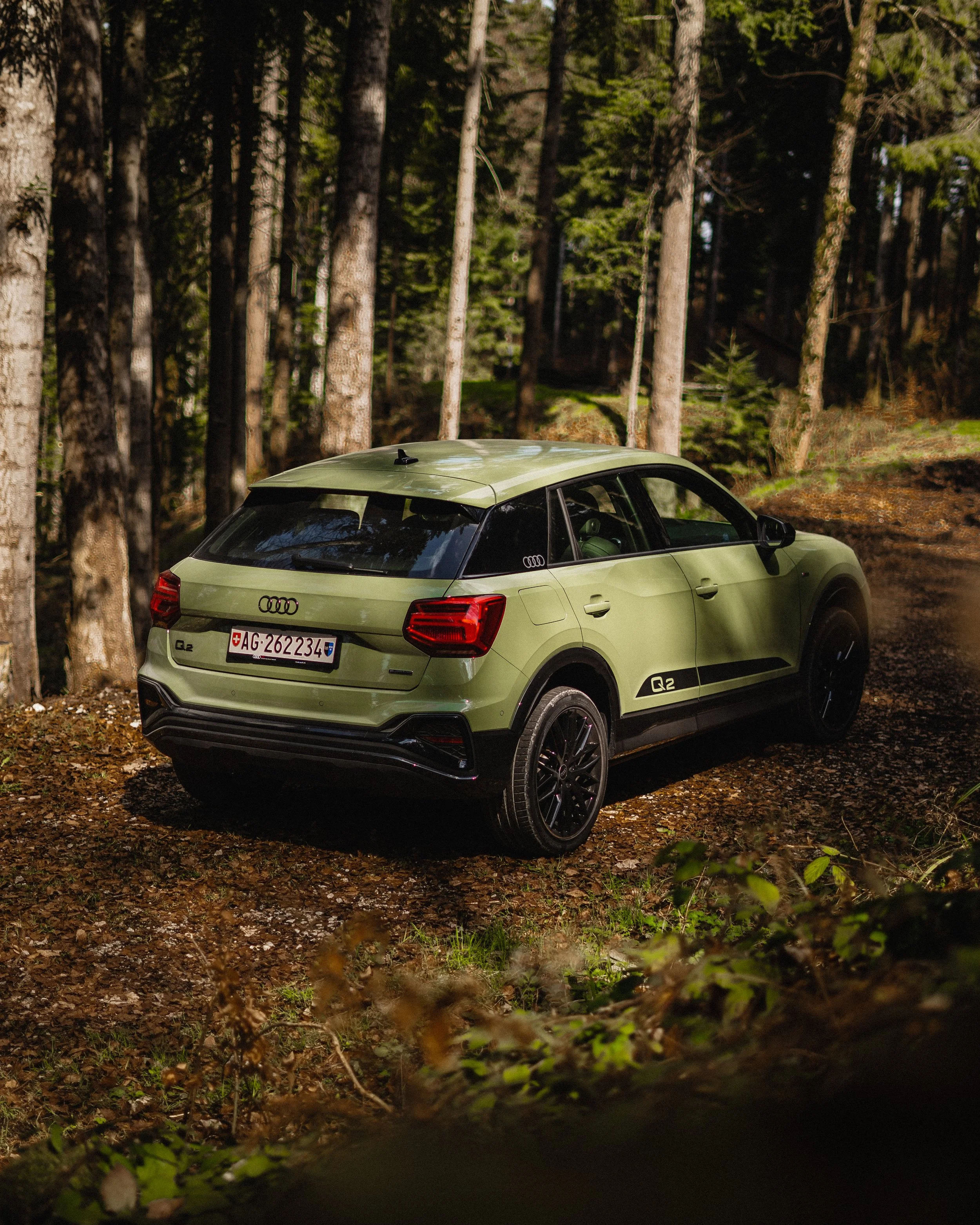 AudiQ2–GB-13.JPG