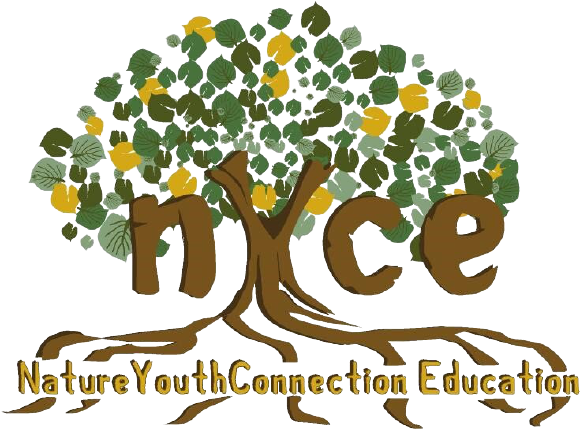 NYCE_LOGO-removebg-preview.png