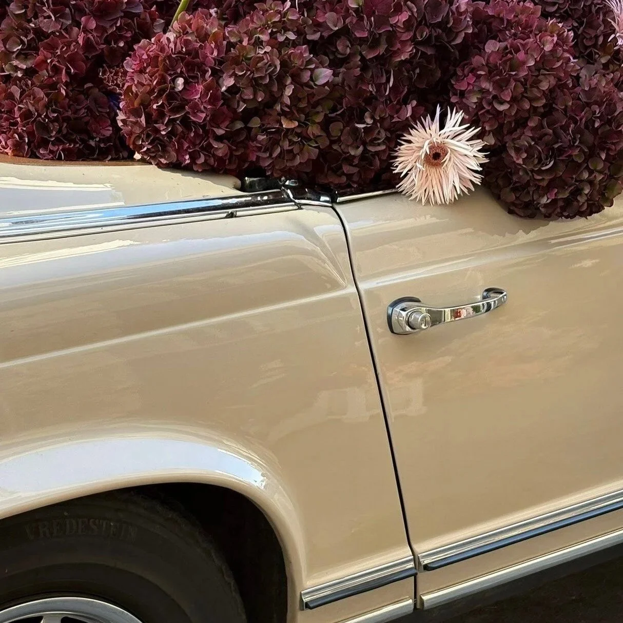 Autry - Opus collective - Say it with Flowers