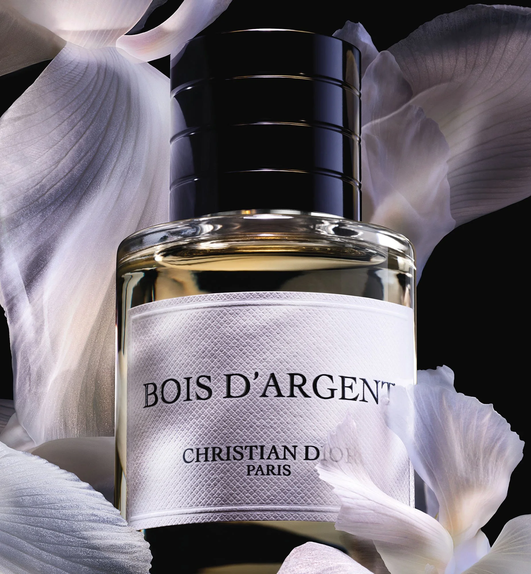 A26_LCP_SPRING_Bois d'argent_1850x2000.jpg