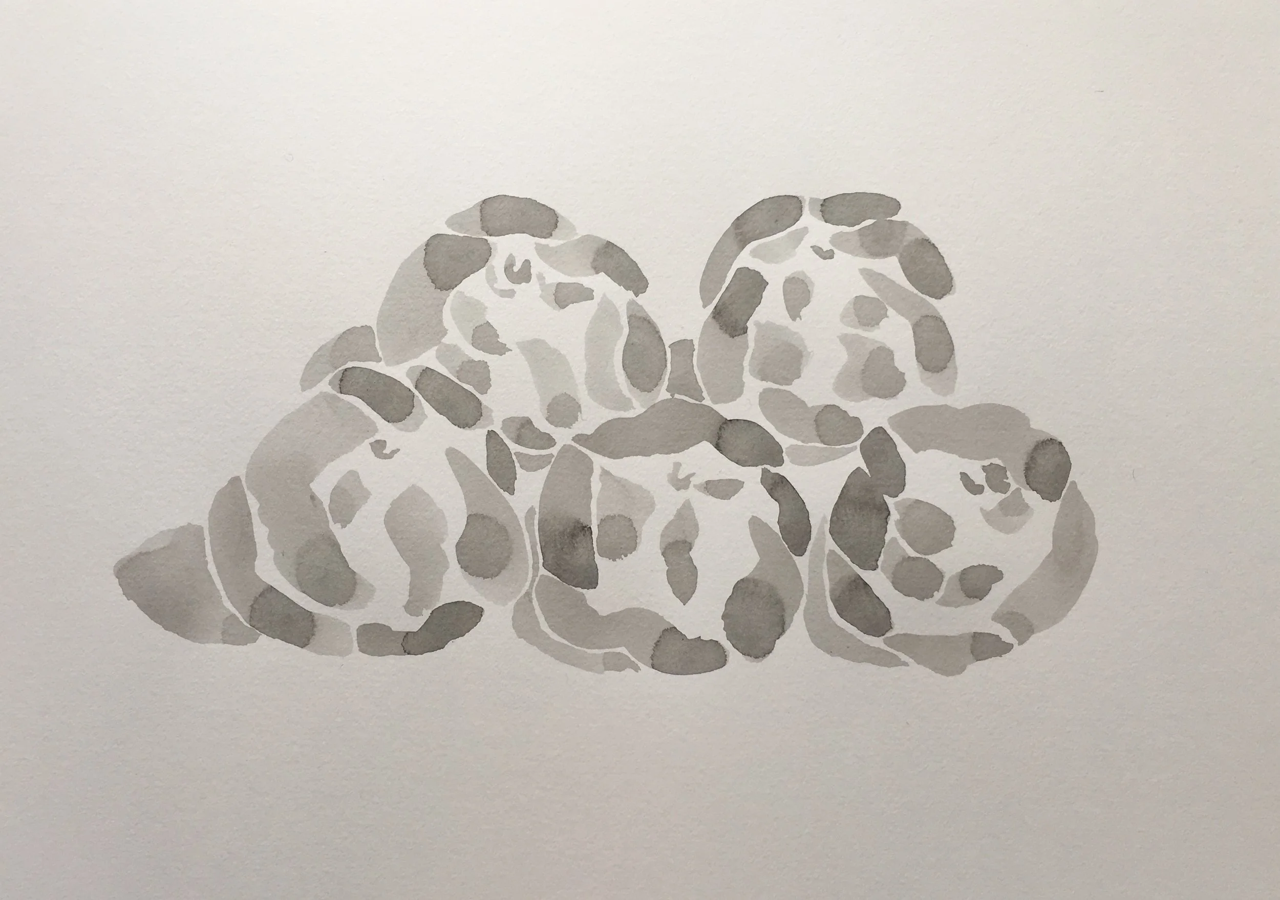 Oranges