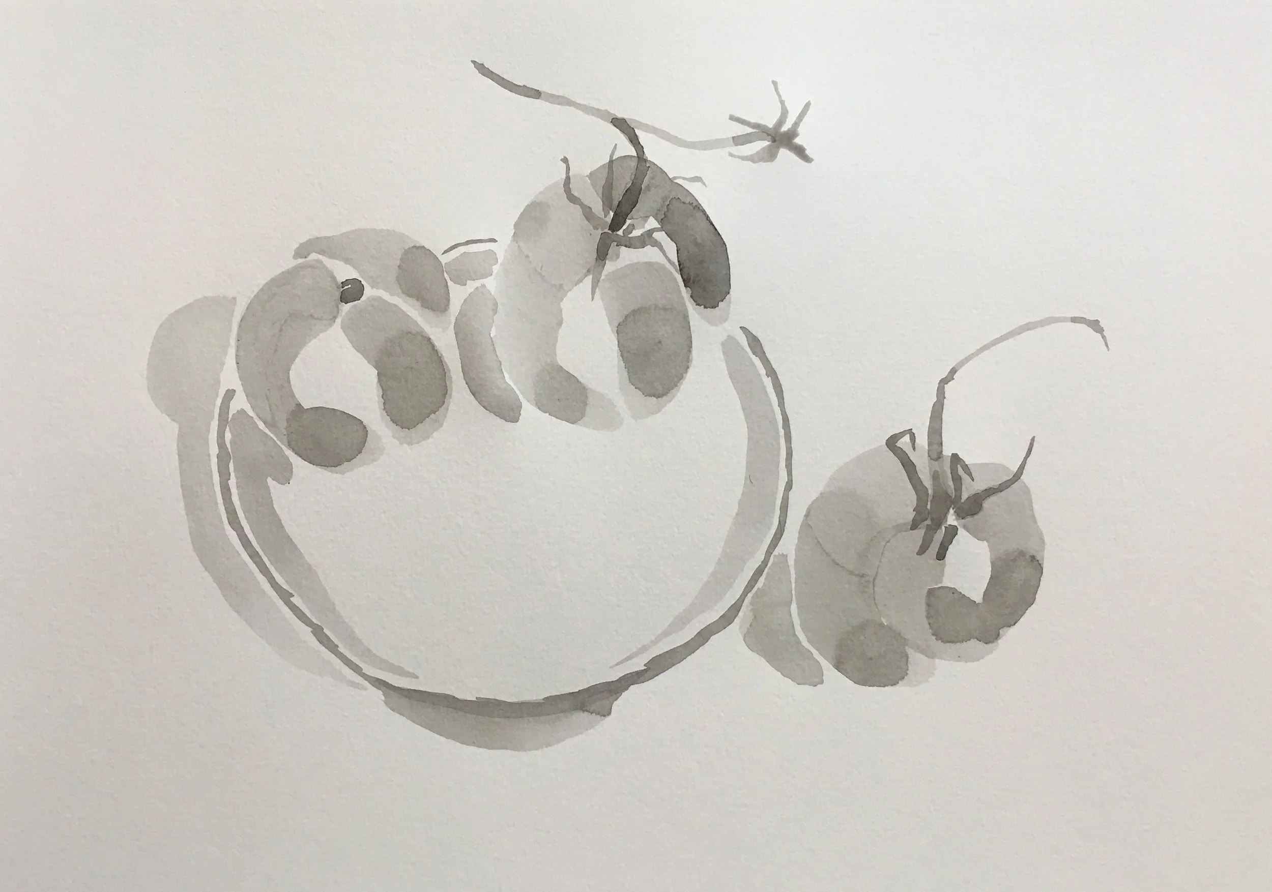 Tomatoes