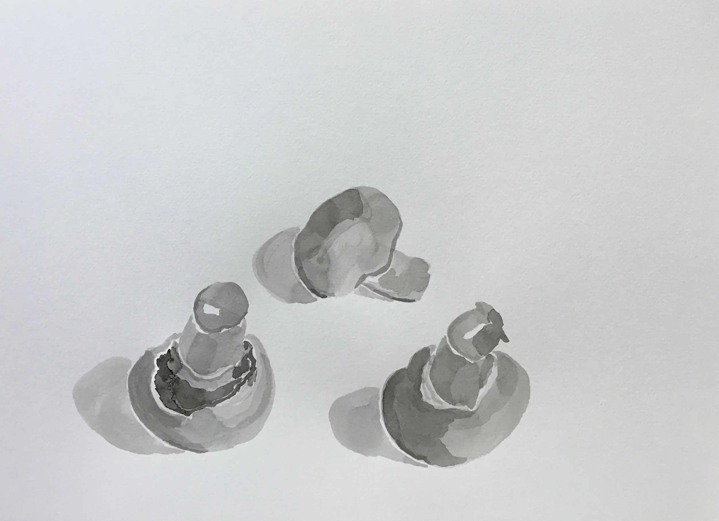 Mushrooms