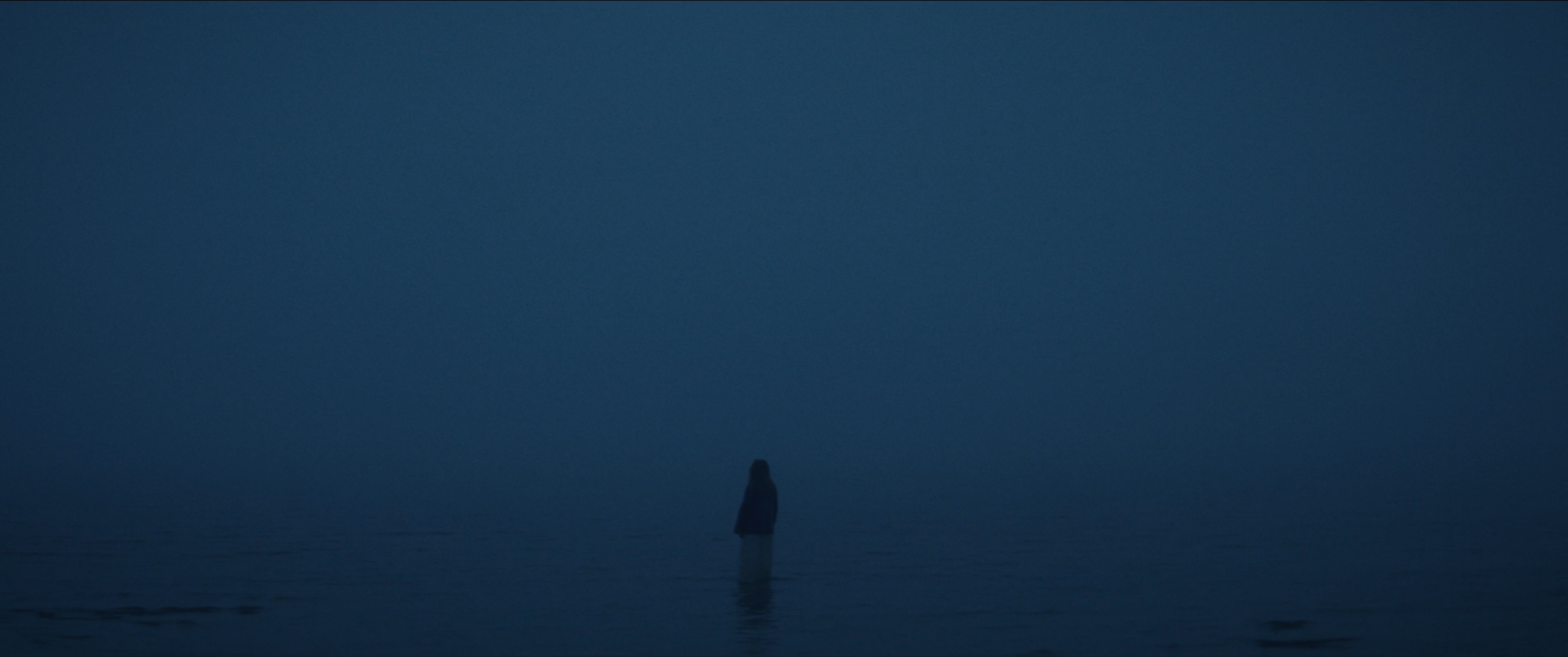 Screen Shot 2022-01-10 at 11.05.22 AM.png