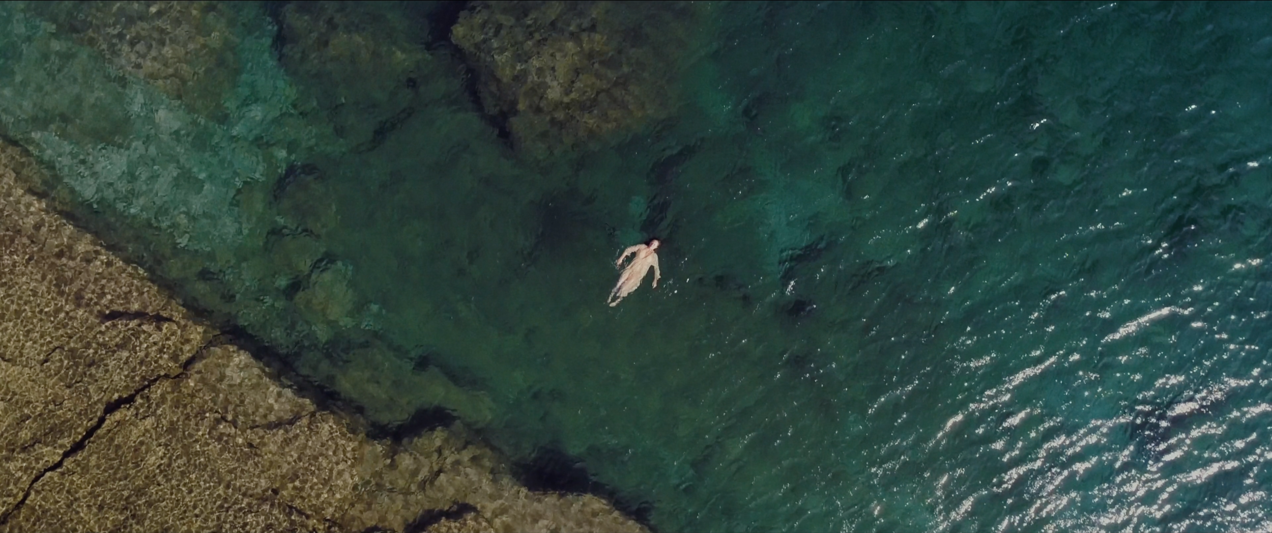 Screen Shot 2022-01-10 at 11.06.43 AM.png