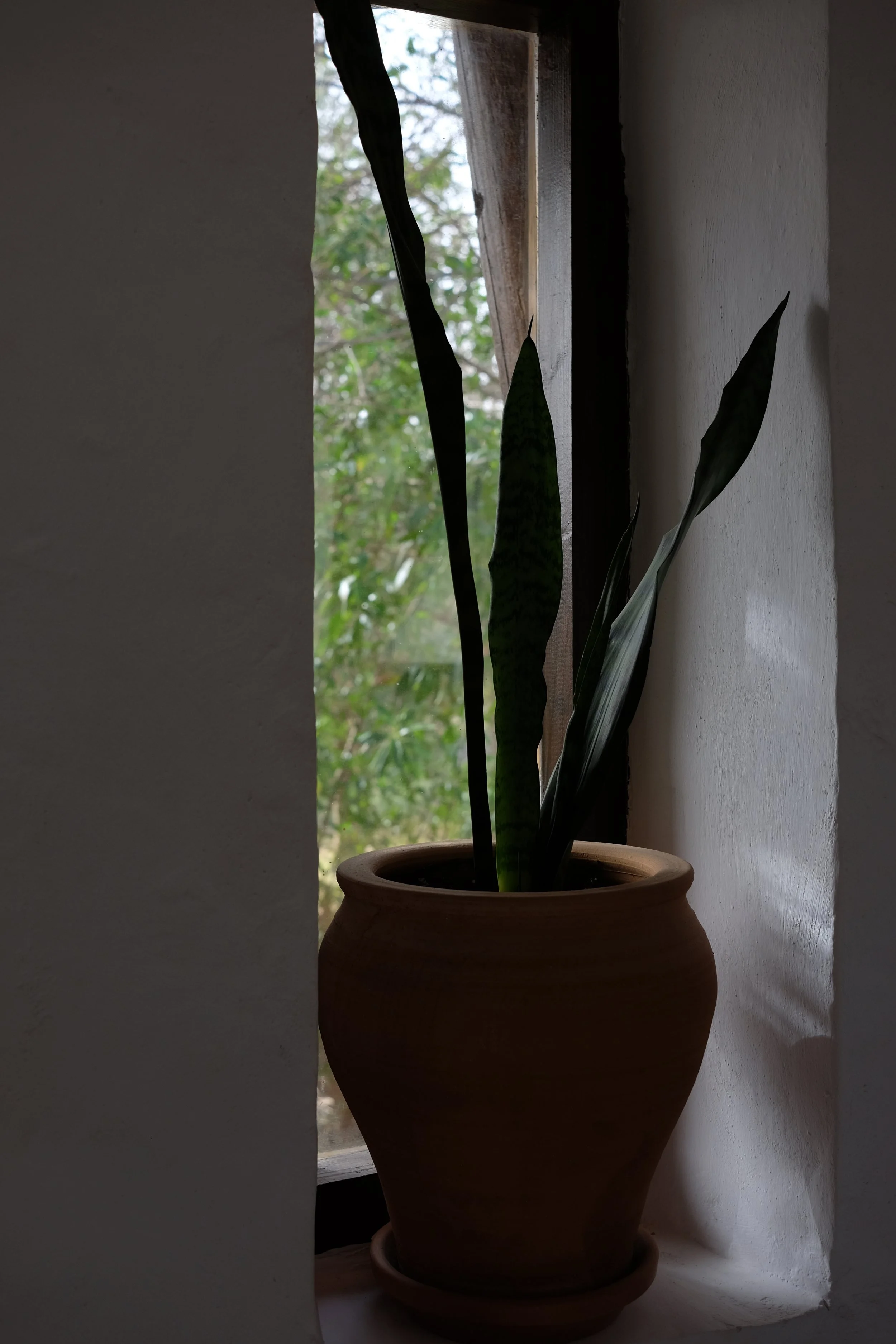 GH decoration - Nina Hoogstraate.JPG