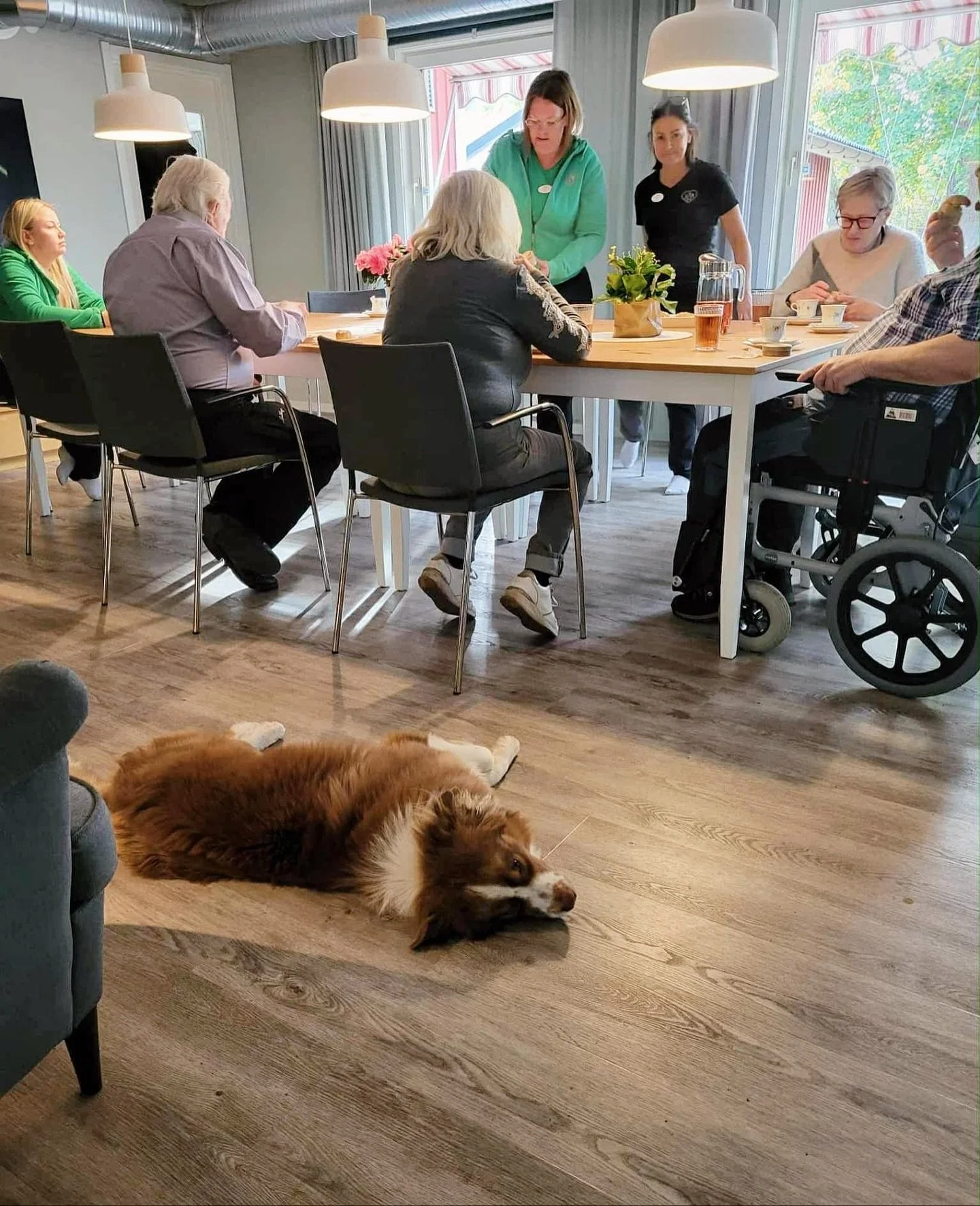 Ibland &auml;r det fyrbenta v&auml;nner med p&aring; v&aring;ra tisdagstr&auml;ffar 🐕 
  Den h&auml;r g&aring;ngen var det vovven Max som fick h&auml;nga med. Mycket uppskattat av alla 🐾