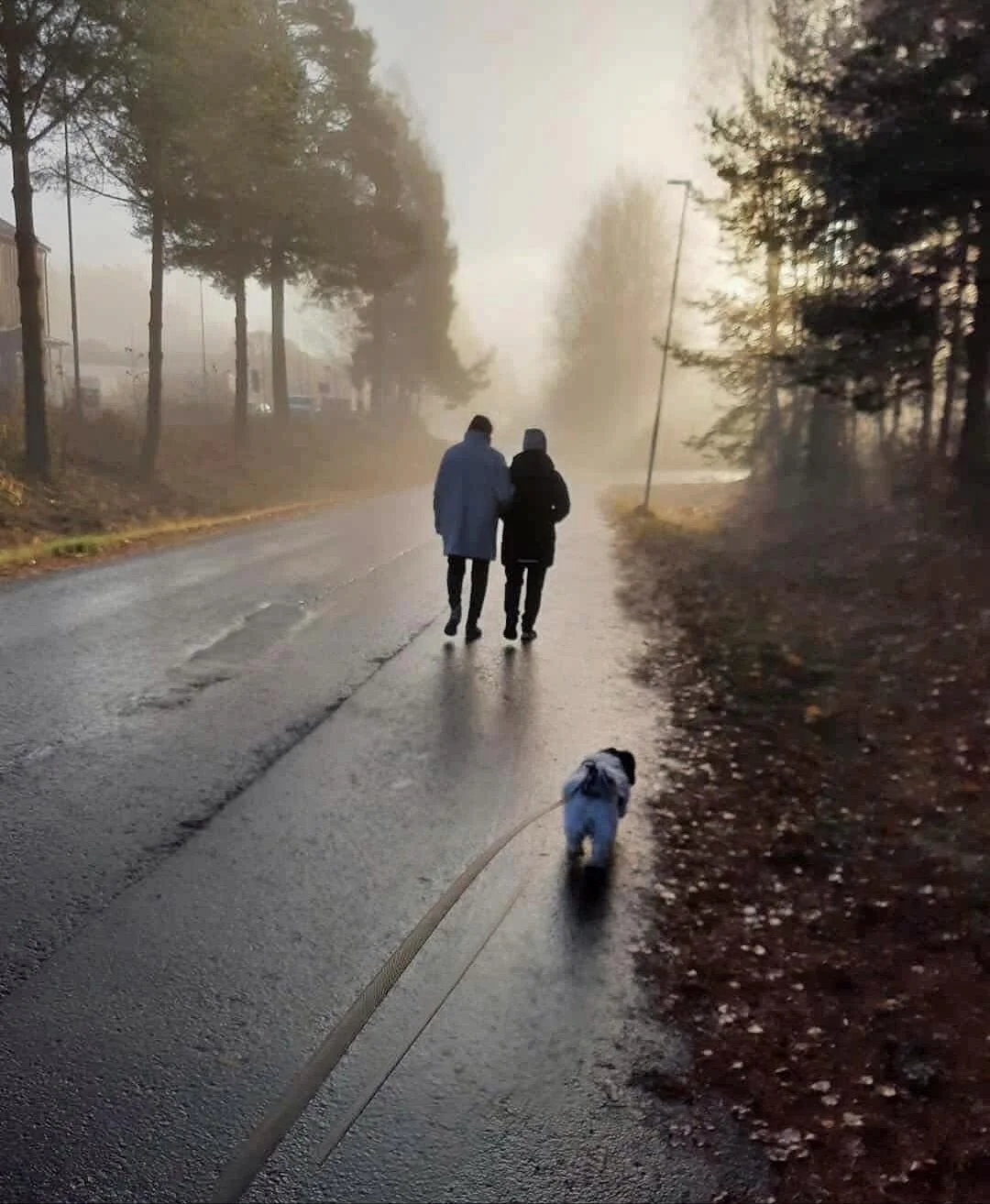 🍁 Sm&aring; stunder som g&ouml;r stor skillnad

En av v&aring;ra kunder fick lite nylagad mat n&auml;r en av v&aring;ra medarbetare hade tid &ouml;ver. En annan v&auml;ntar lugnt och gott p&aring; att pajen i ugnen ska bli klar. Och sj&auml;lvklart 