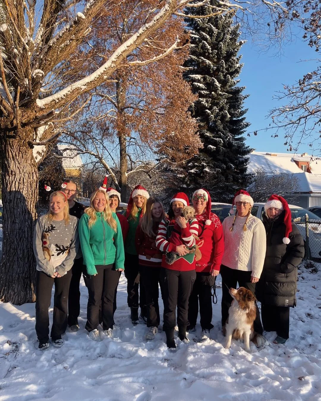 Det h&auml;r fantastiska g&auml;nget &ouml;nskar alla en fin f&ouml;rsta advent. 🐾

 Nu b&ouml;rjar nedr&auml;kningen till jul! ❤️🎄