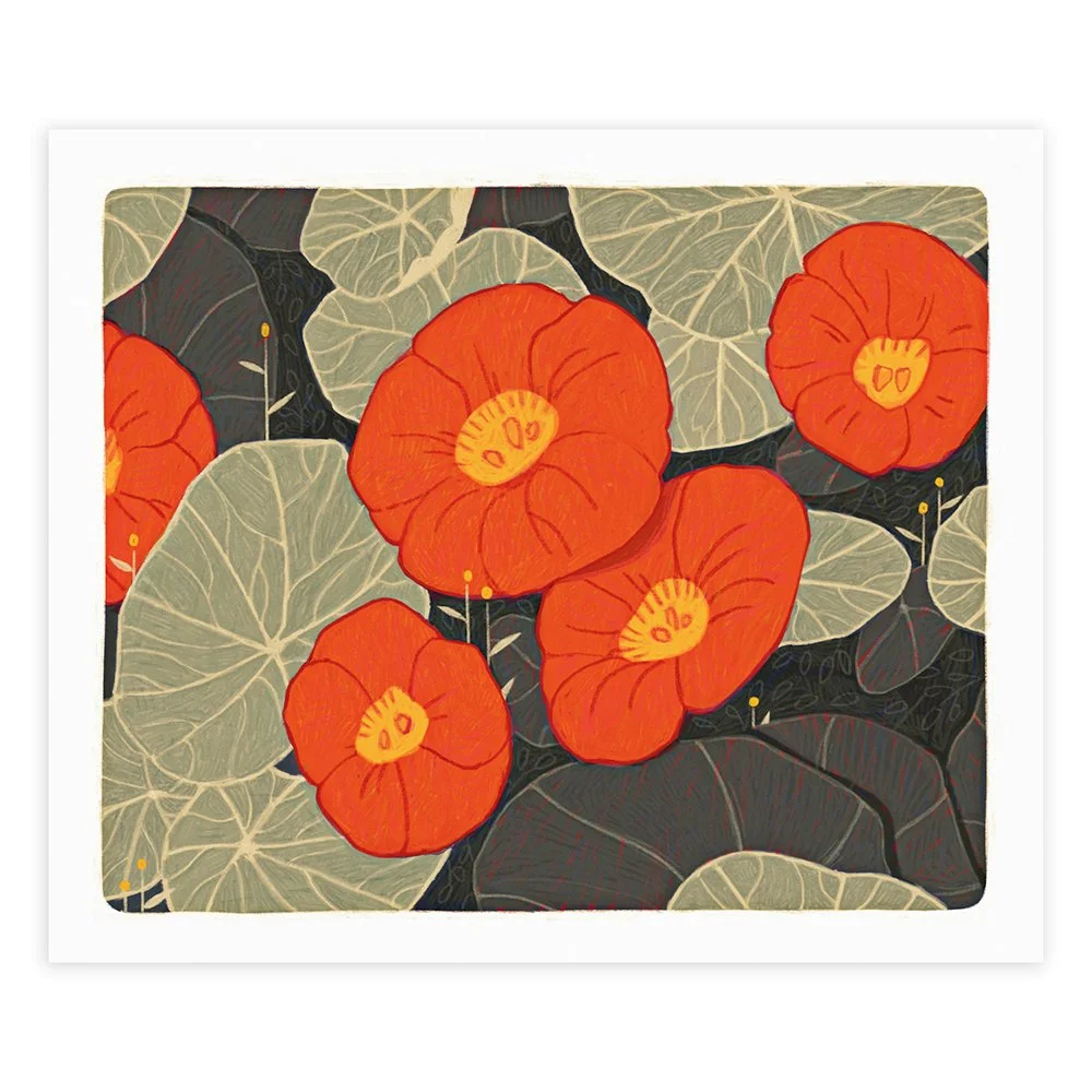 Nasturtium | Fine Art Print 20x25cm