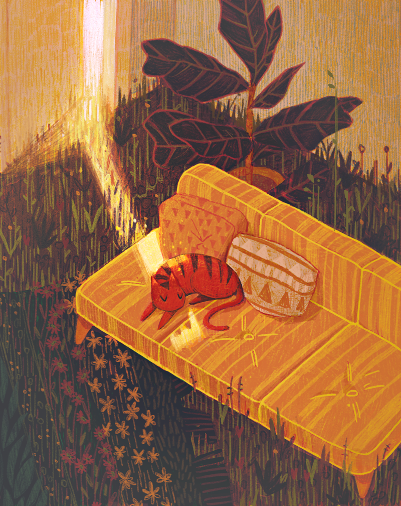 cat_800w.png