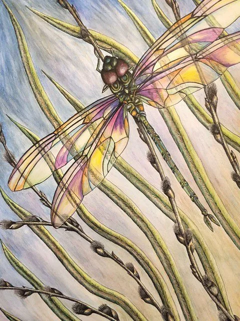 "Dragonfly" 7"x 10",  Ink & Watercolour. **SOLD**
Dragonflies represent agility, courage, playfulness, rebirth, transformation, illusion and spiritual awakening. 