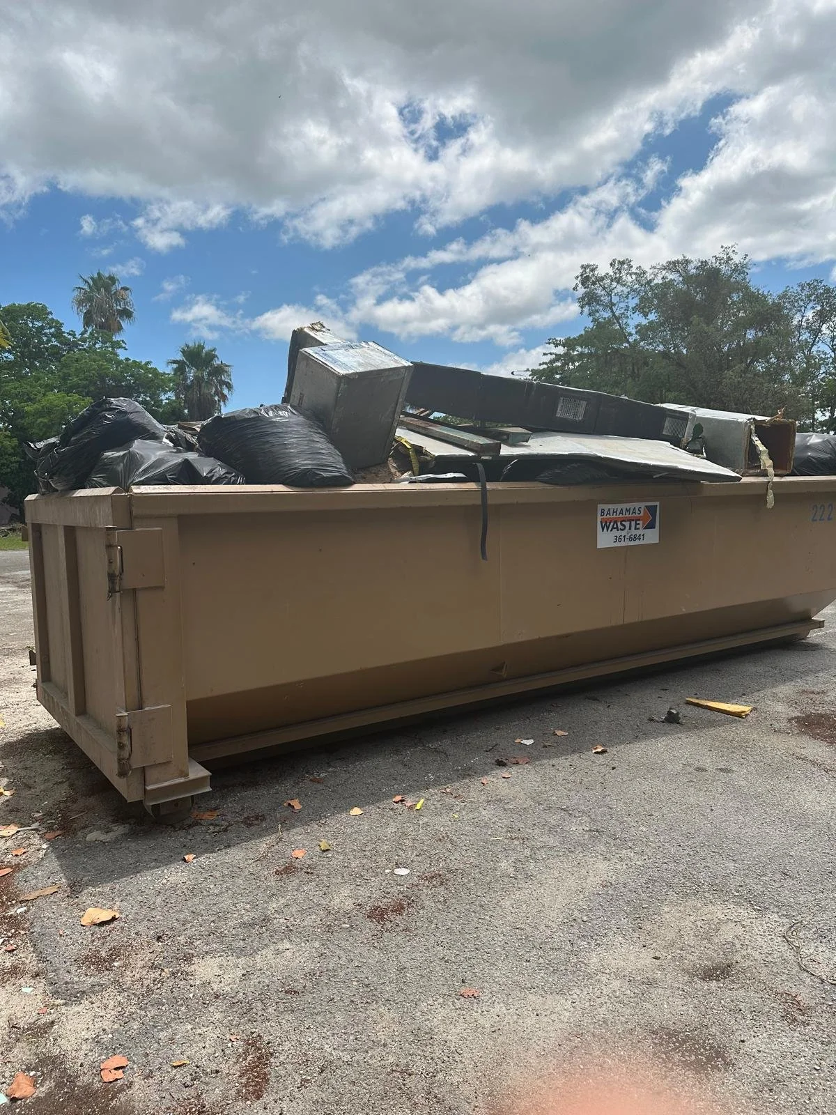 WhatsApp Image 2025-05-21 at 14.03.35.jpeg