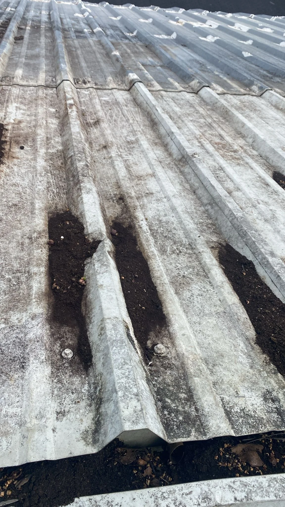 Fixing the Black Box Roof