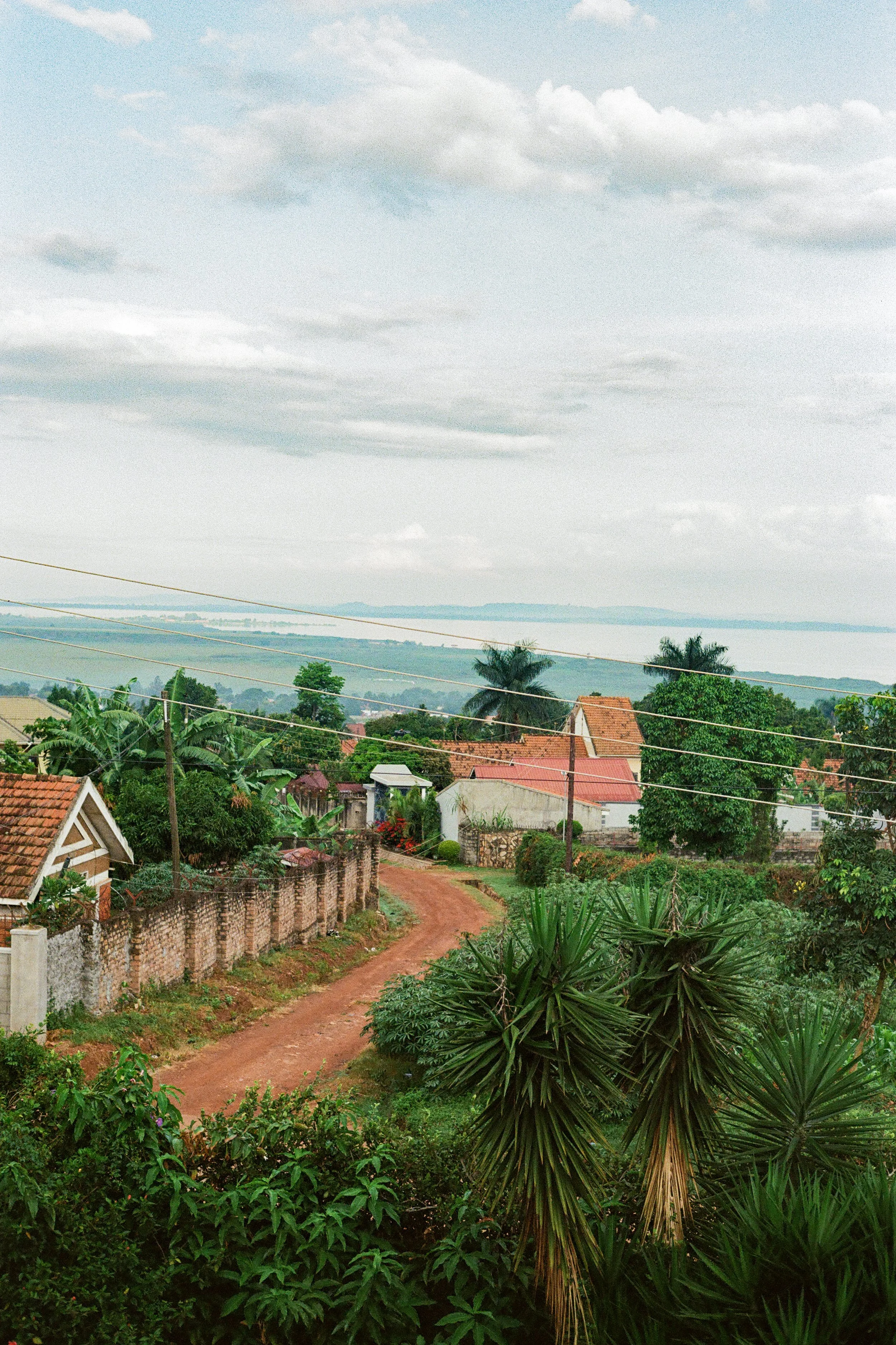 Lake Victoria in the Morning