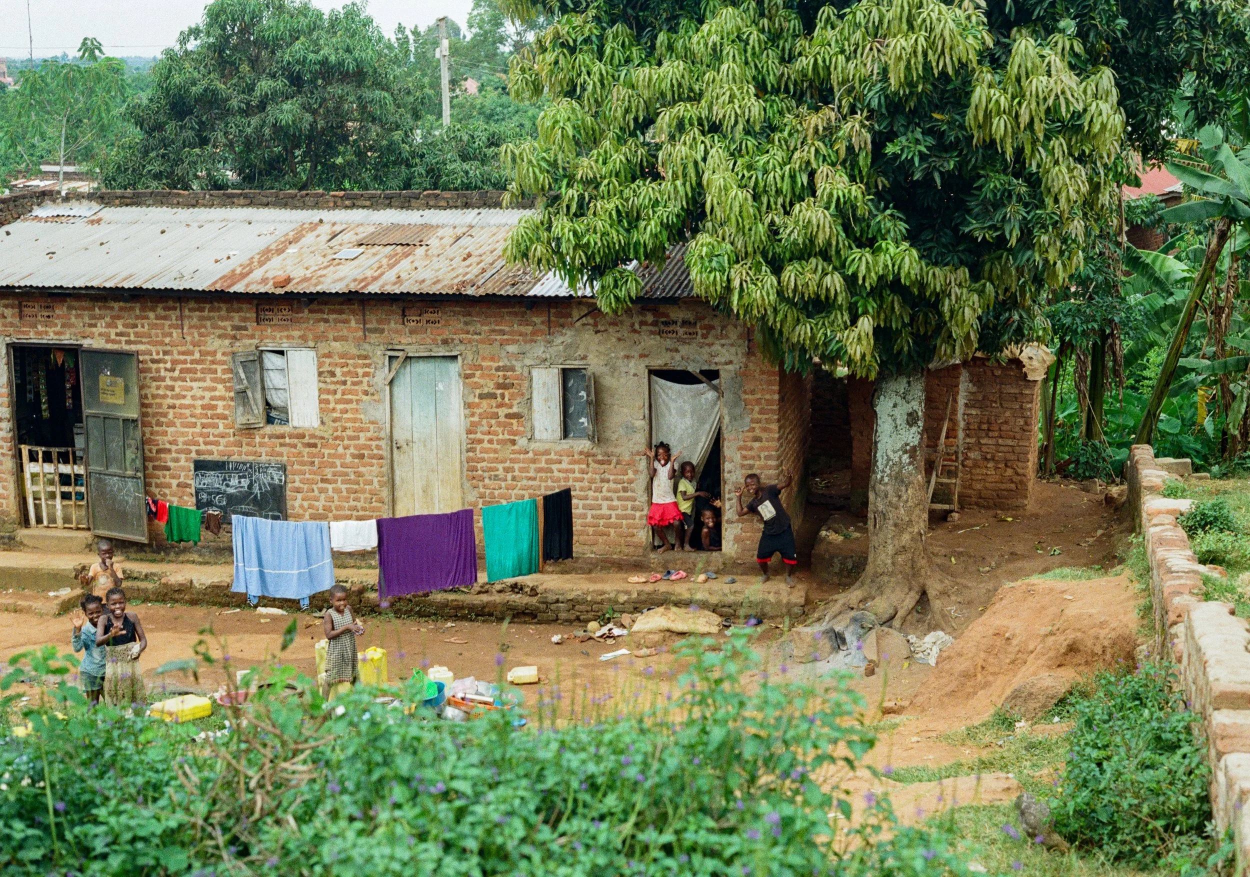 Mazungu 
