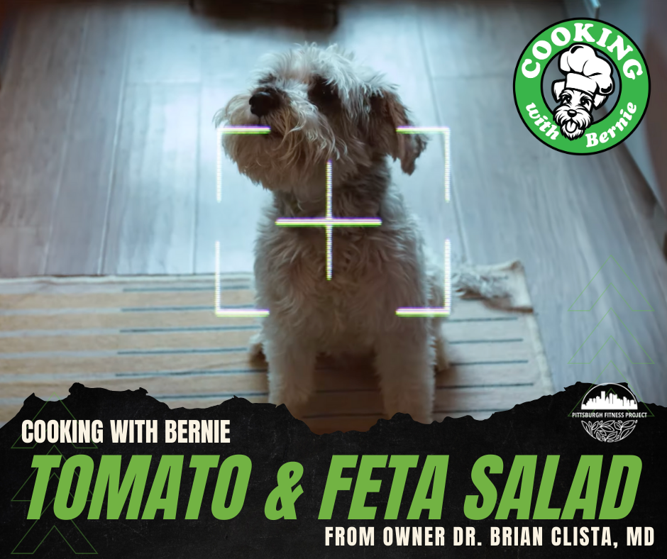 BLOG GRAPHIC: TOMATO & FETA SALAD. Image of "chef" Bernie the dog, sitting on the floor.